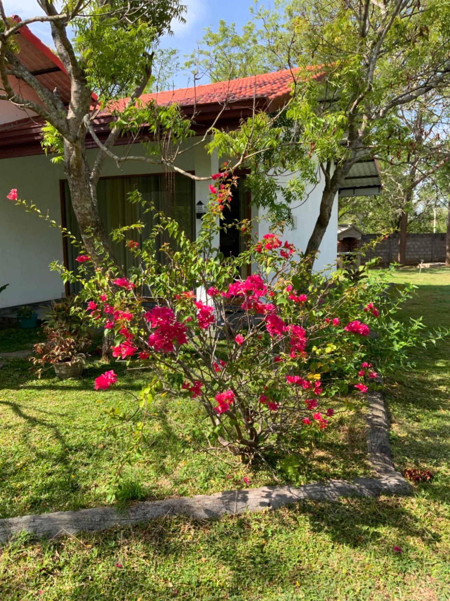 Nature Resort Polonnaruwa Luaran gambar