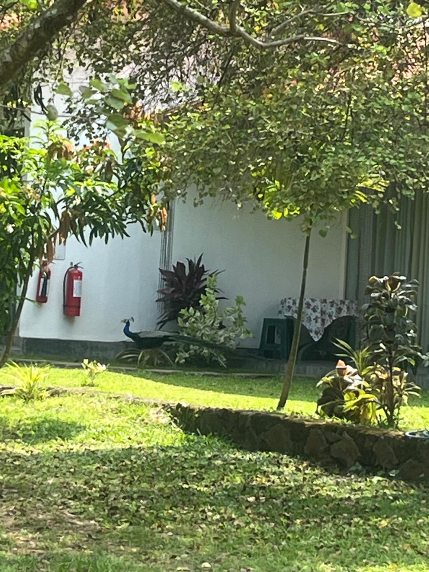 Nature Resort Polonnaruwa Luaran gambar